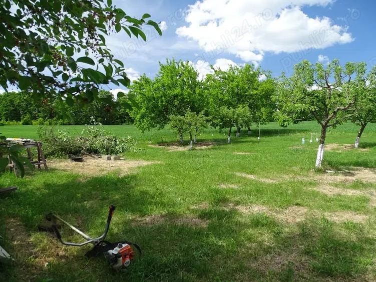 Casă cu 3 camere cu Teren 13000 Mp în Stănița