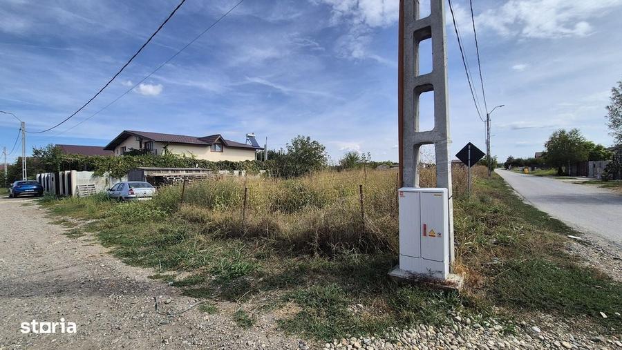 Teren intravilan 700 mp la asfalt in Orasul Magurele - 2