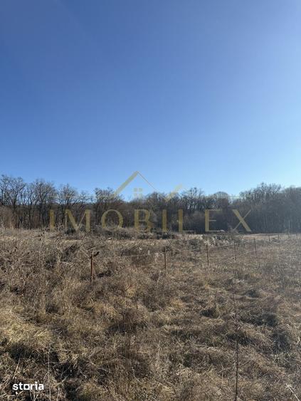 Teren de 3000 mp, în Făget