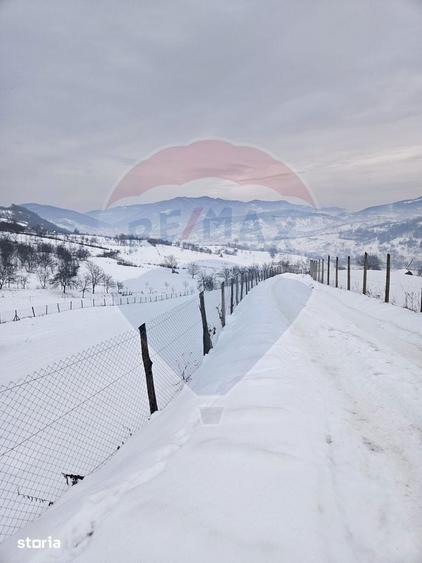 Teren 4,301mp Barsana / Strada Principala - 4