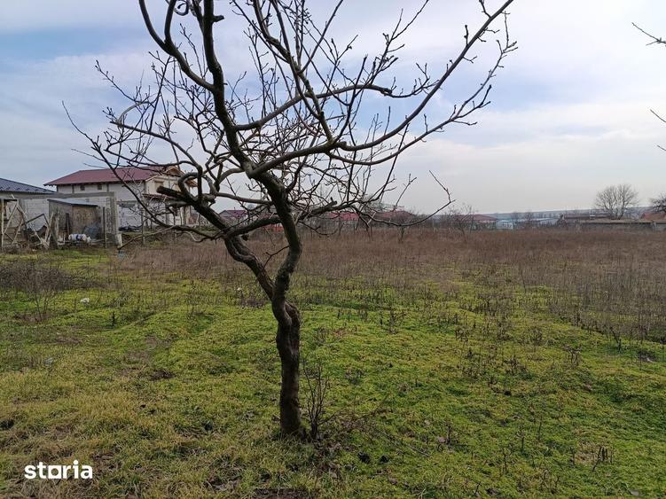 Teren de 4625 mp, în Frecăței
