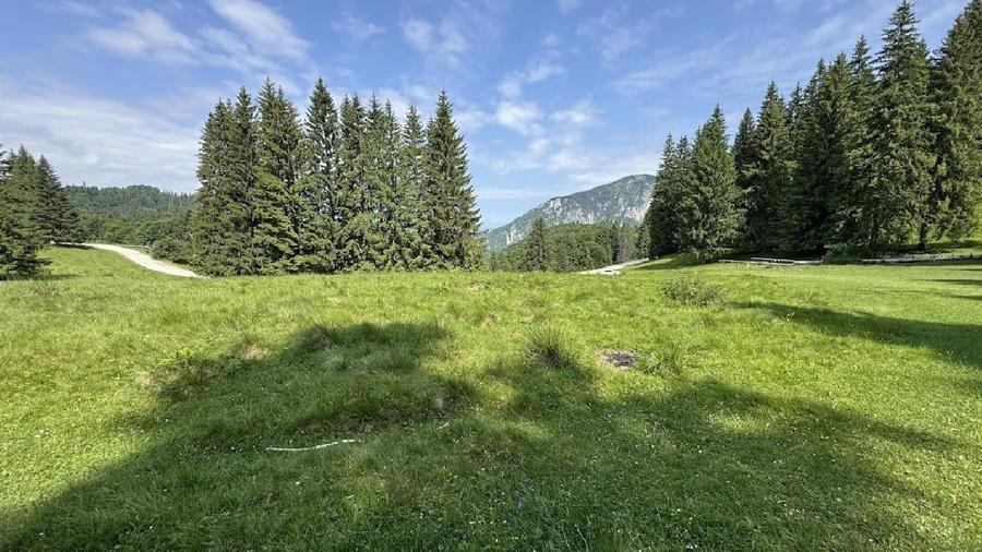 Teren agricol intravilan de 6000 mp, în Nord