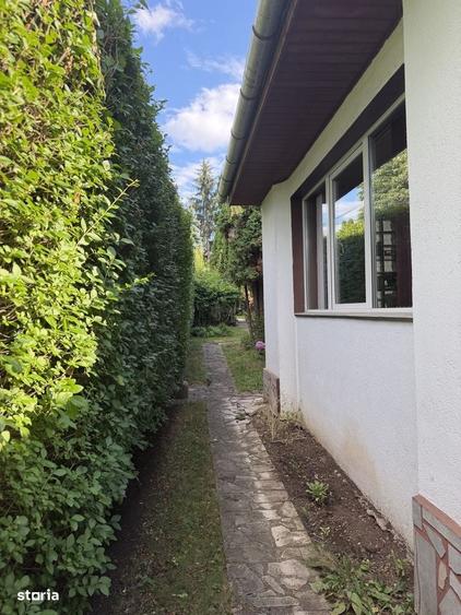 Casă cu 3 camere în Central