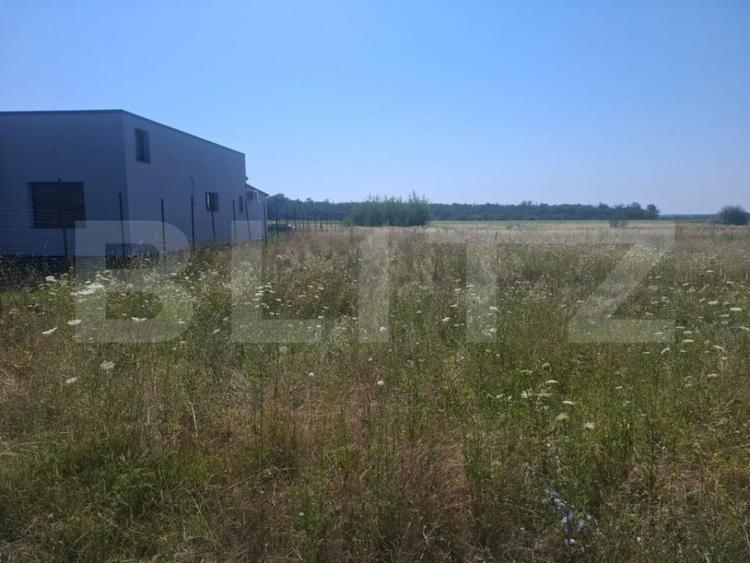 Teren de 4400 mp, în Dragomirești