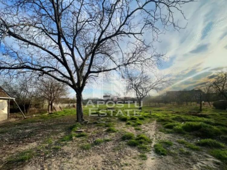 Teren de 1575 mp, în Sânnicolau Mic