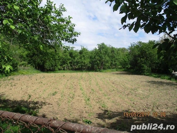 Teren de 1270 mp, în Drajna