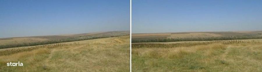 Teren de 6000 mp, în Vârlezi