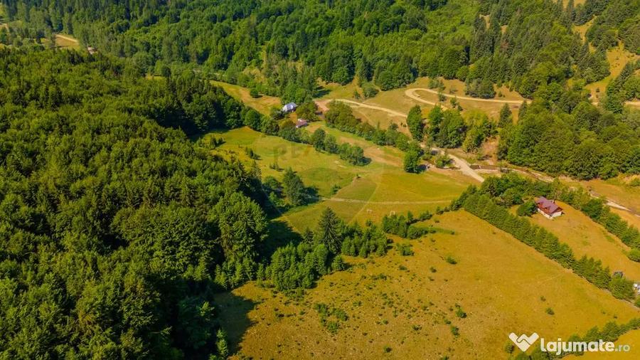 Teren de 20000 mp, în Dălghiu