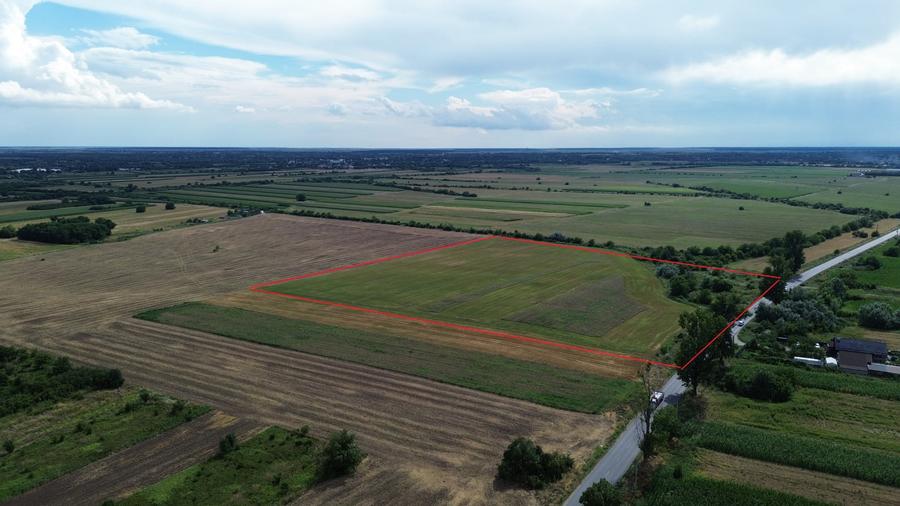 Teren Construcții intravilan de 20000 mp, în Bolintin-Deal