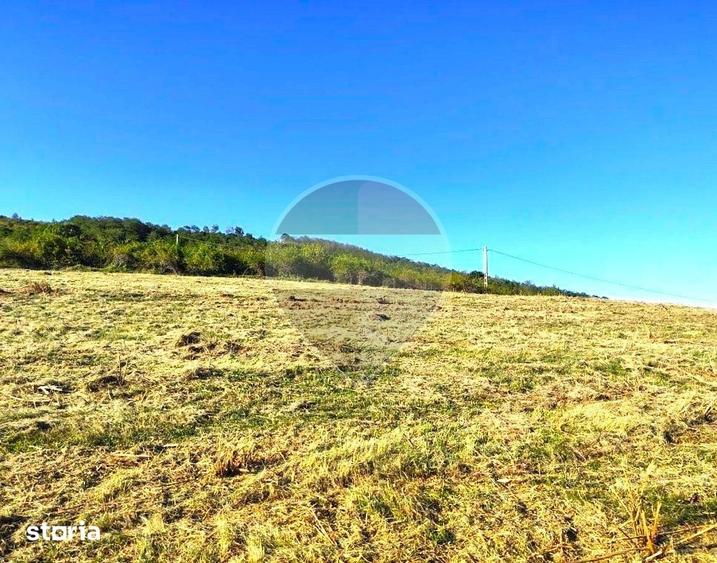 Teren de 18600 mp, în Mogoș