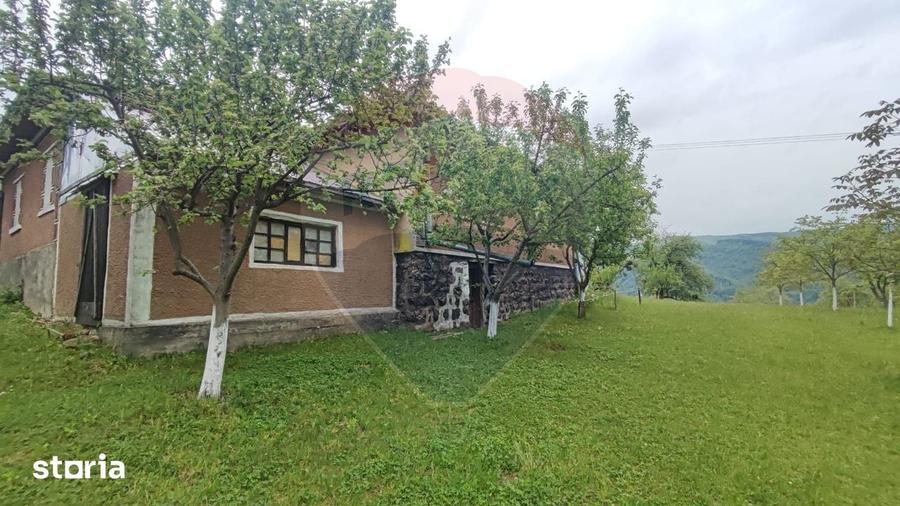 Casă cu 4 camere cu Teren 11769 Mp în Bulz