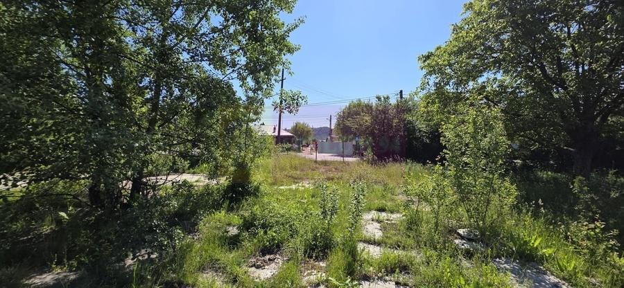Teren intravila 40.679 mp in Campina, dezvoltare imobiliara - 4