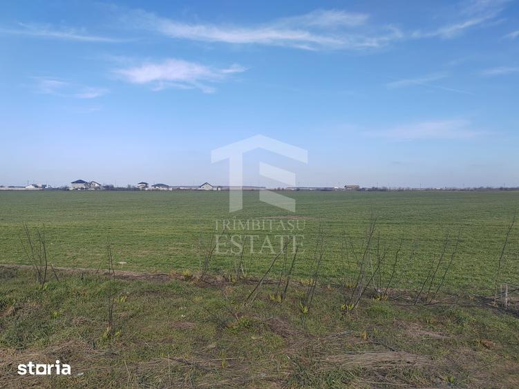 Teren de 8650 mp, în Cernica