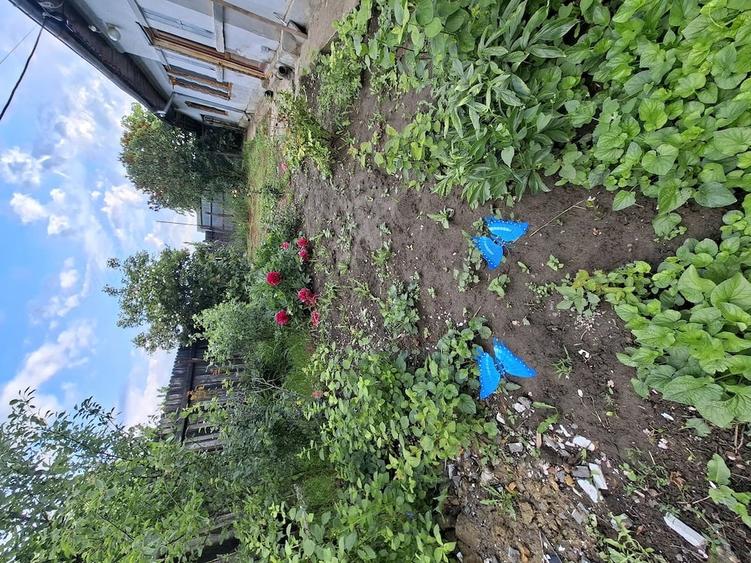 Casă cu 3 camere cu Teren 1549 Mp în Dănești