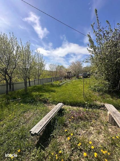 De vanzare casa ?i teren cu suprafata de 13.000mp, 52.000 euro - 18