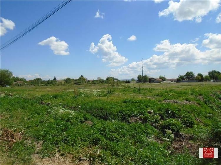 Teren Construcții intravilan de 27759 mp, în Zimandu Nou