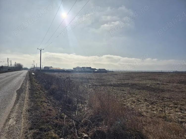 Teren de 450 mp, în Horia