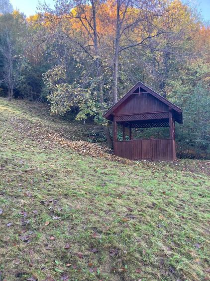 Casă cu 3 camere cu Teren 6300 Mp în Firiza