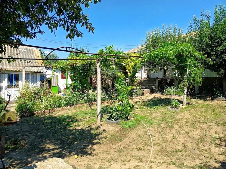 Casă cu 3 camere cu Teren 3116 Mp în Valea lui Darie