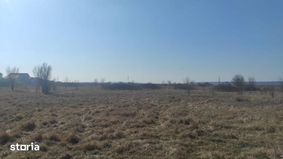 Teren de 500 mp, în Brestei