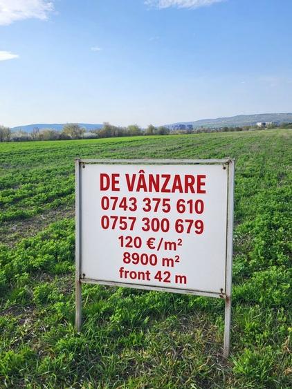 Spațiu comercial, în Dosu Bricii