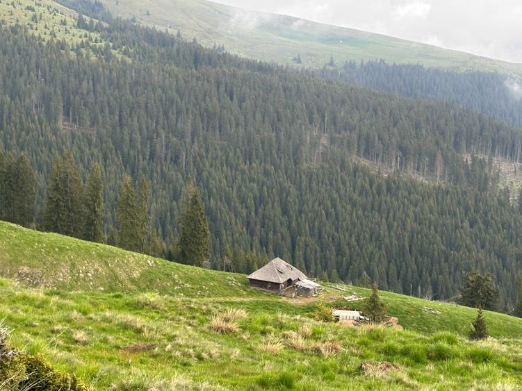 Teren de 1100000 mp, în Nucșoara