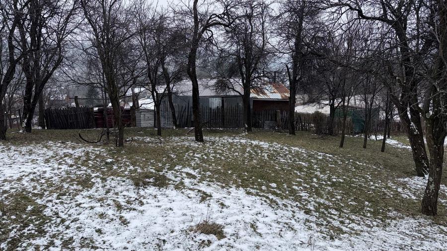 Teren Construcții intravilan de 4652 mp, în Lunca Mare