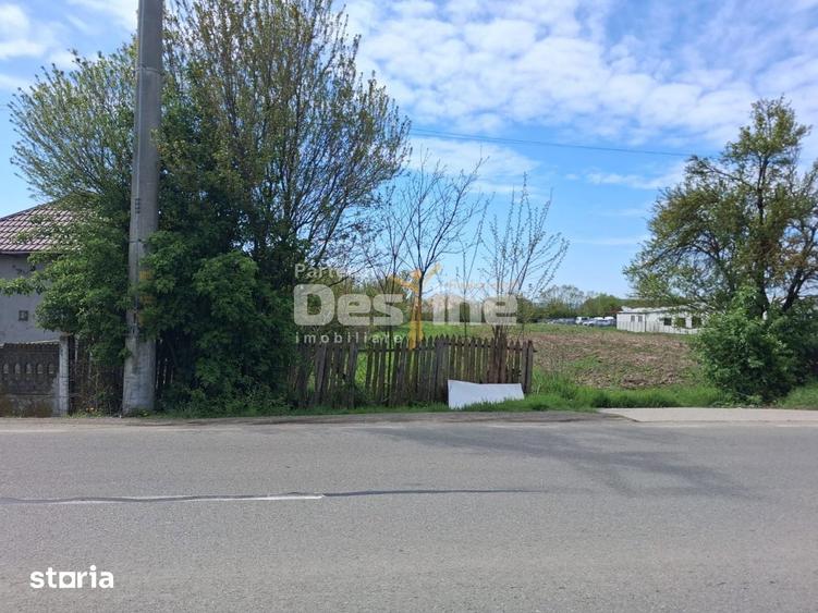 Teren intravilan excelent pentru investitie/comercial in Mihaesti - 4