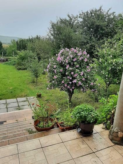 Casă cu 4 camere în Cuci