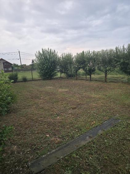 Casa cu teren 720 mp de vanzare in Sannicolau Mare - 5
