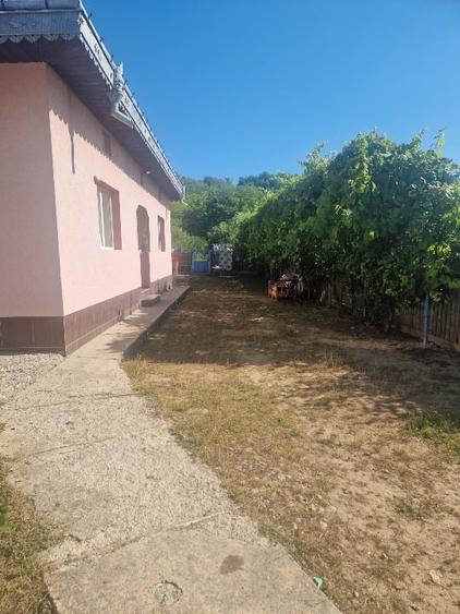 Casă individuală cu 3 camere cu Garaj în Cristești
