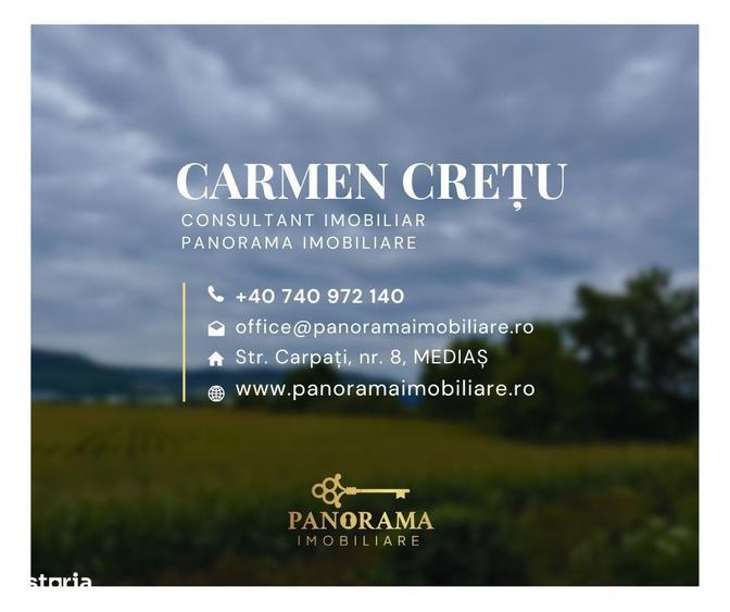 Spațiu comercial, în Central