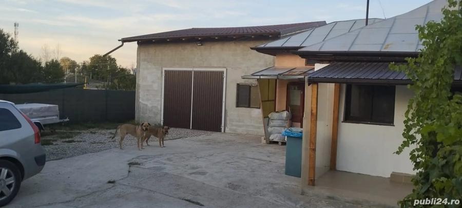 Casă cu 5 camere în Stoenești
