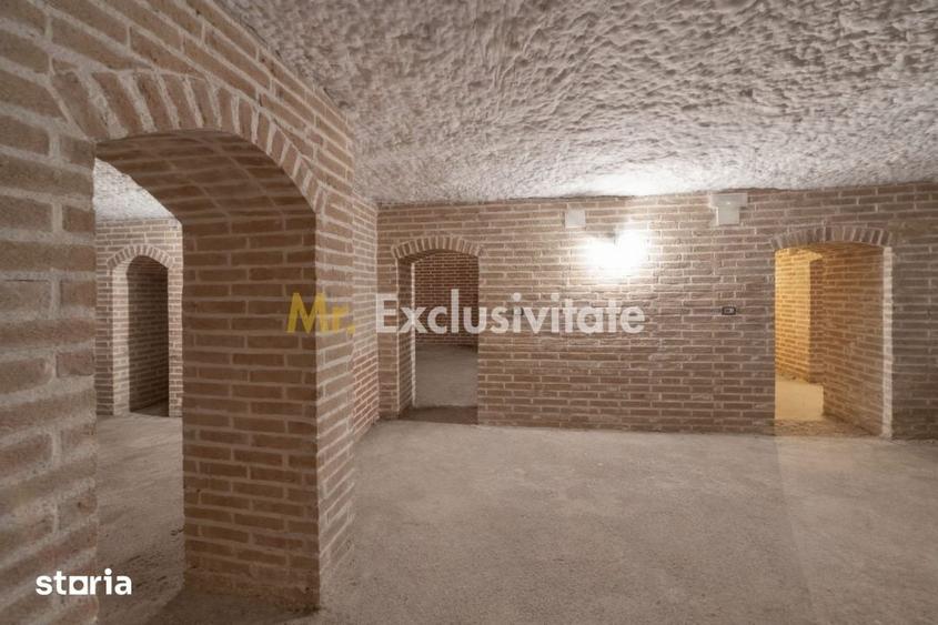 Casă cu 8 camere cu Teren 1229 Mp în Ștefănești