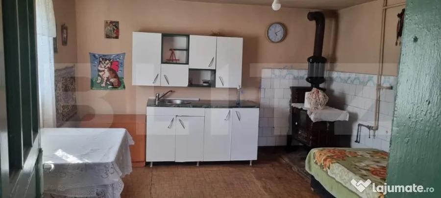 Casă cu 4 camere cu Teren 2580 Mp în Ceanu Mare