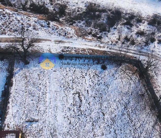 TEREN intravilan 1000 mp – ALEXANDRU cel BUN, judetul Neamț - 6