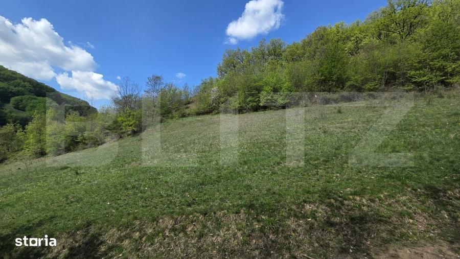 Spațiu comercial, în Pădure