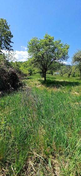 Teren de 831 mp, în Vale