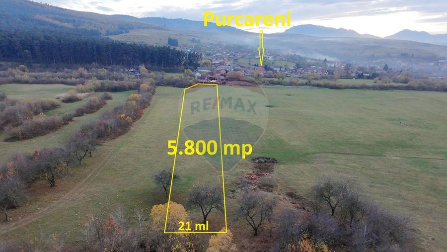Teren agricol extravilan de 5800 mp, în Purcăreni