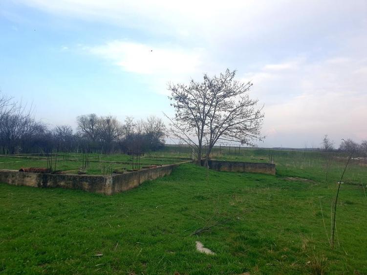 Casă cu 2 camere în Nădab