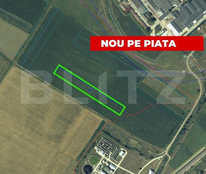 Teren Construcții extravilan de 9512 mp, în Partoș