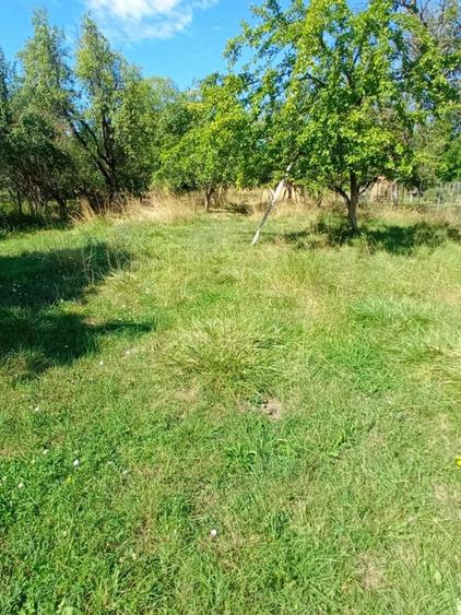 and teren intravilan, Domnesti, Arges - 3