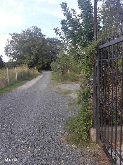 Teren de 1100 mp, în Vânători