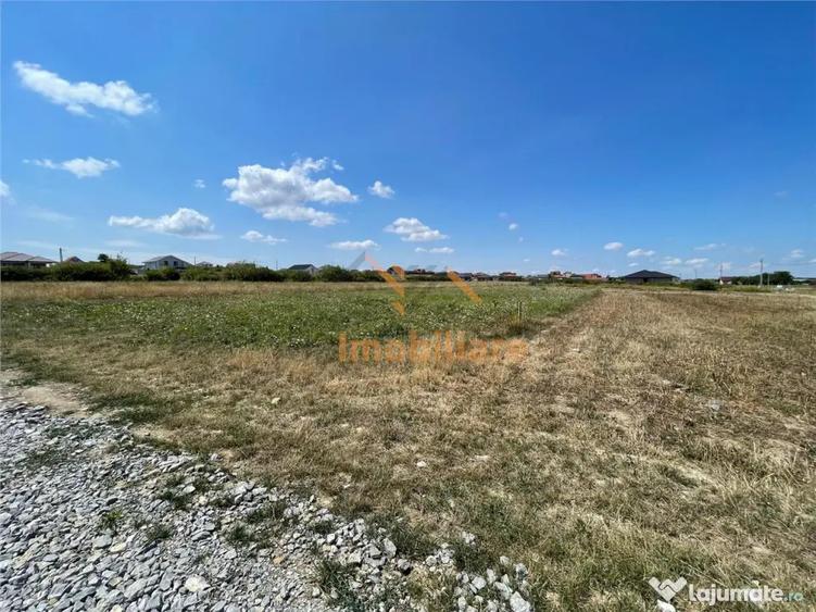 TEREN | 1391MP | SANMARTIN | BIHOR - 1