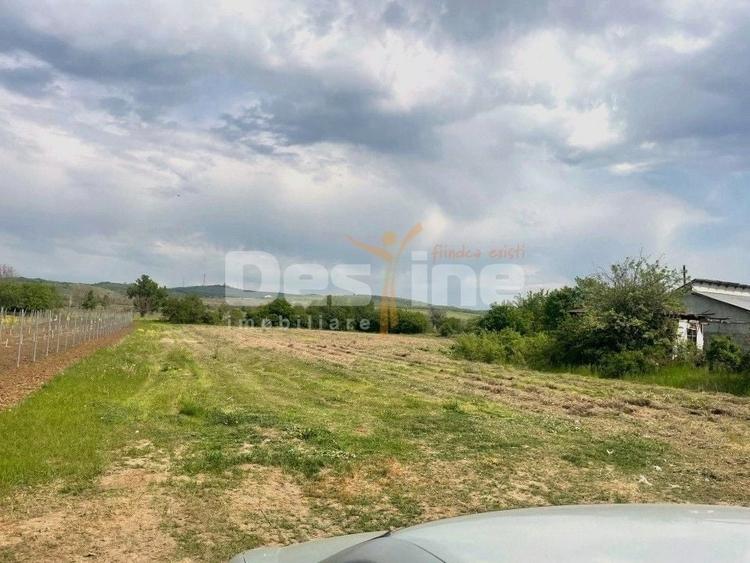 Teren Construcții intravilan de 3176 mp, în Valea Călugărească