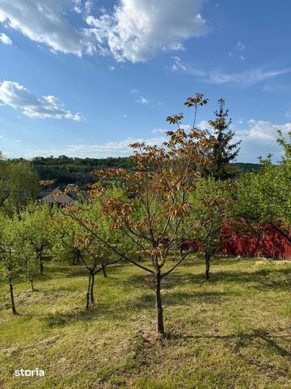 Teren Intravilan 730 mp Valea Mare, Stefanesti, Arges - 2