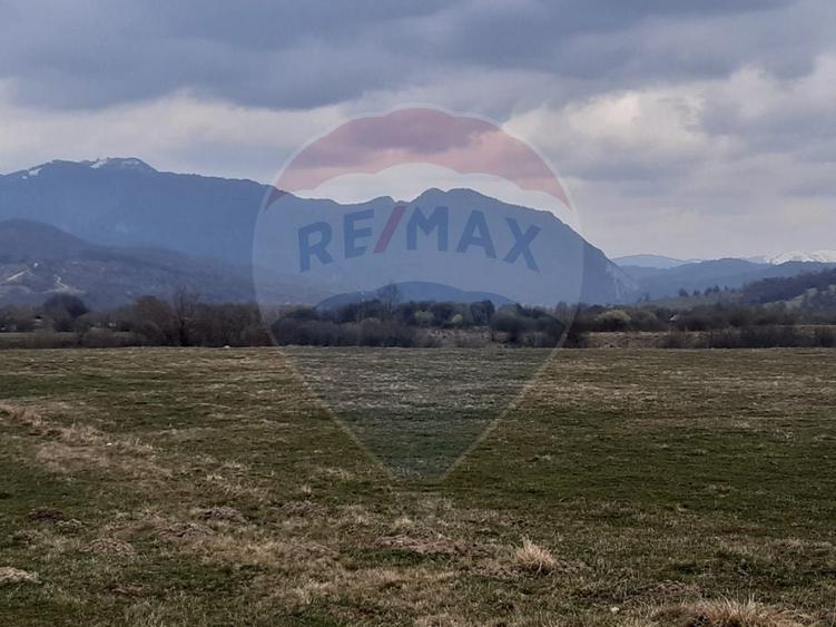 Teren agricol extravilan de 10000 mp, în Pănicel