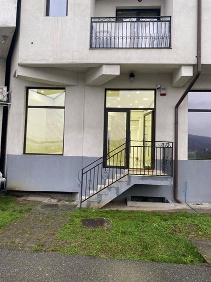 Spațiu comercial, de 113 mp, în Ostroveni