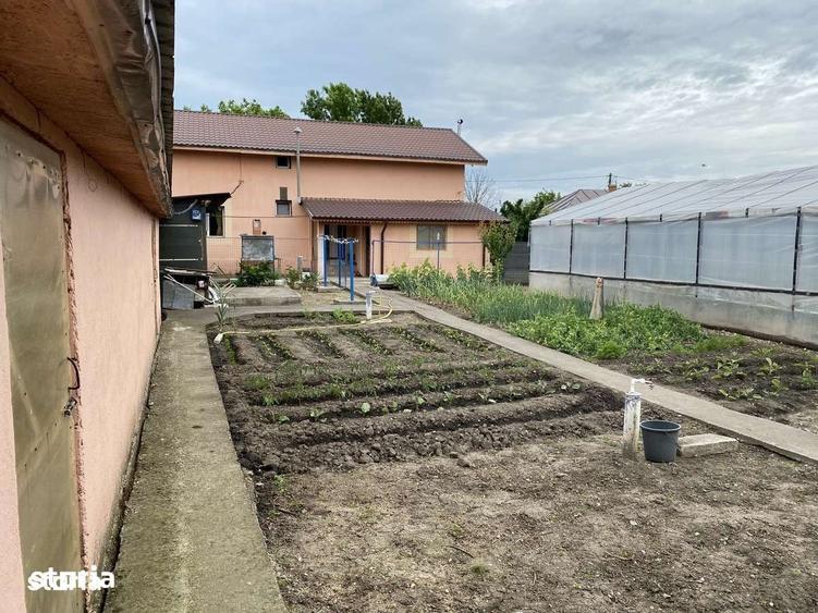 Casă cu 5 camere cu Teren 1000 Mp în Putineiu