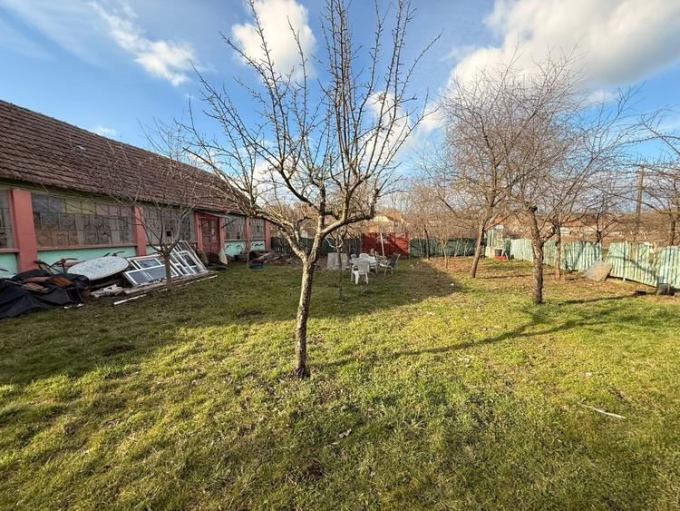 Teren Construcții intravilan de 3424 mp, în Cornești